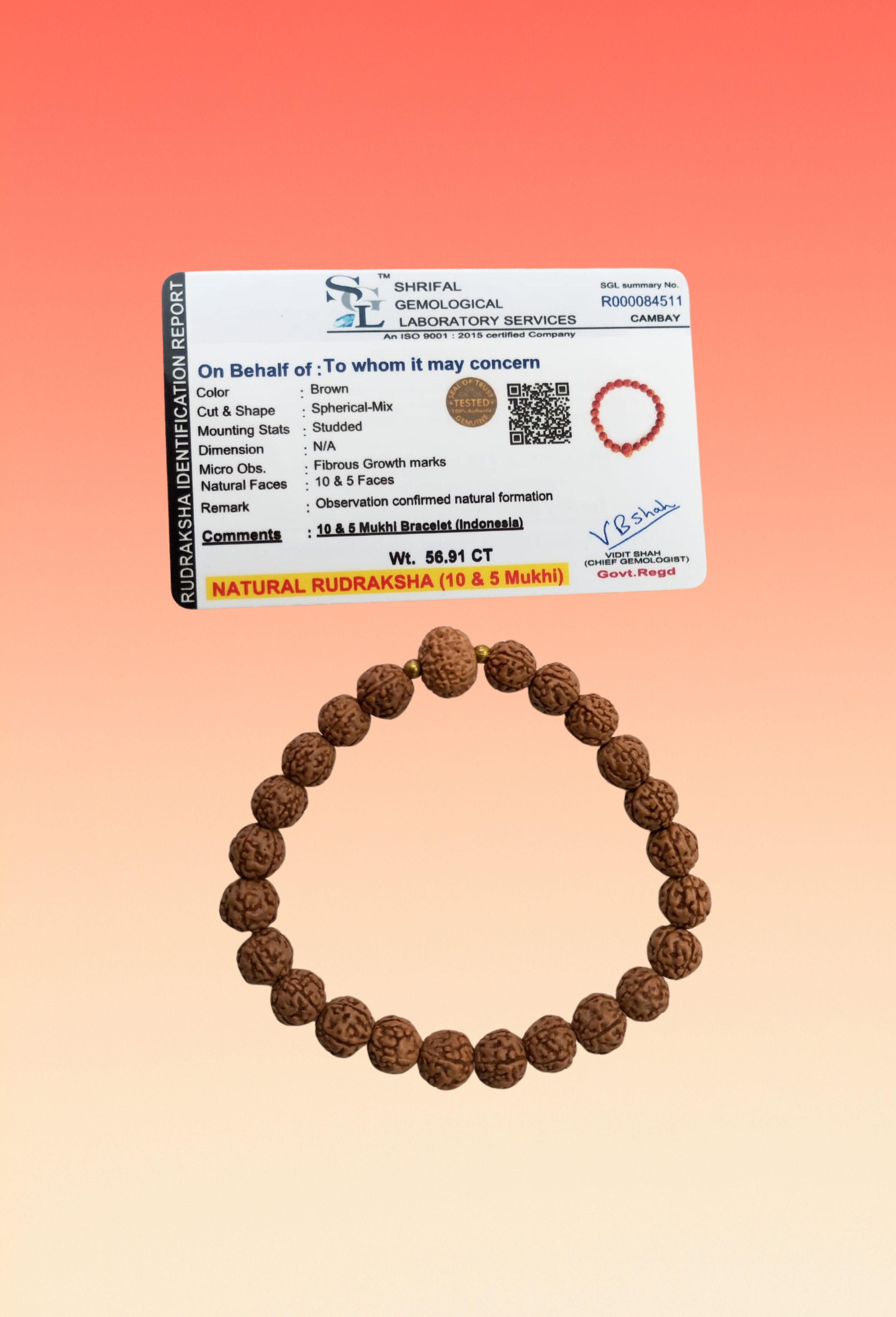10 Mukhi Rudraksha Bracelet