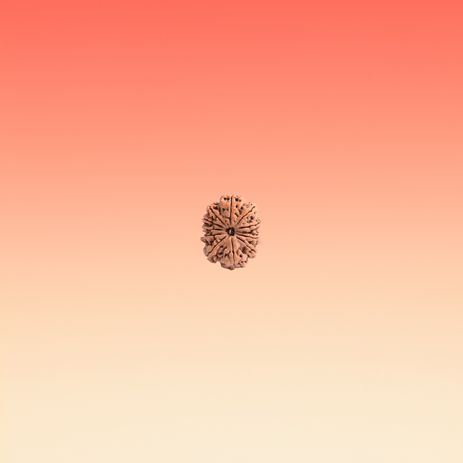MUKHI 12