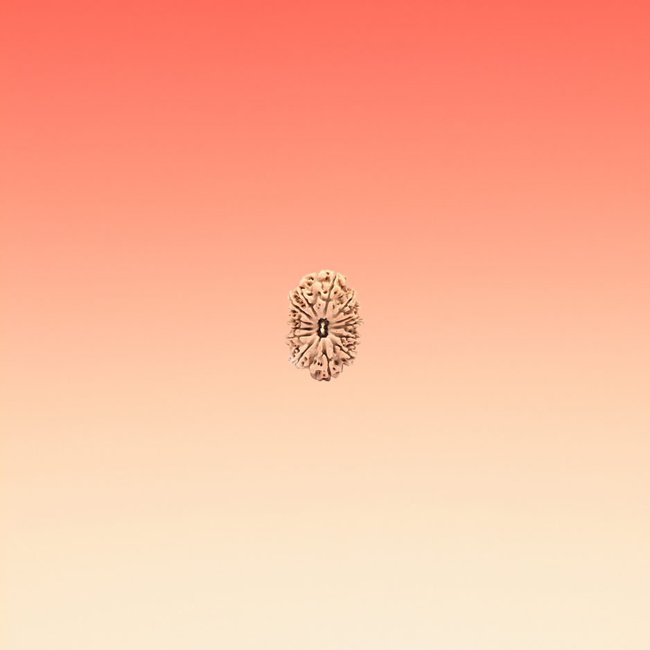 MUKHI 13