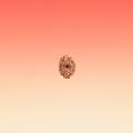 MUKHI 17