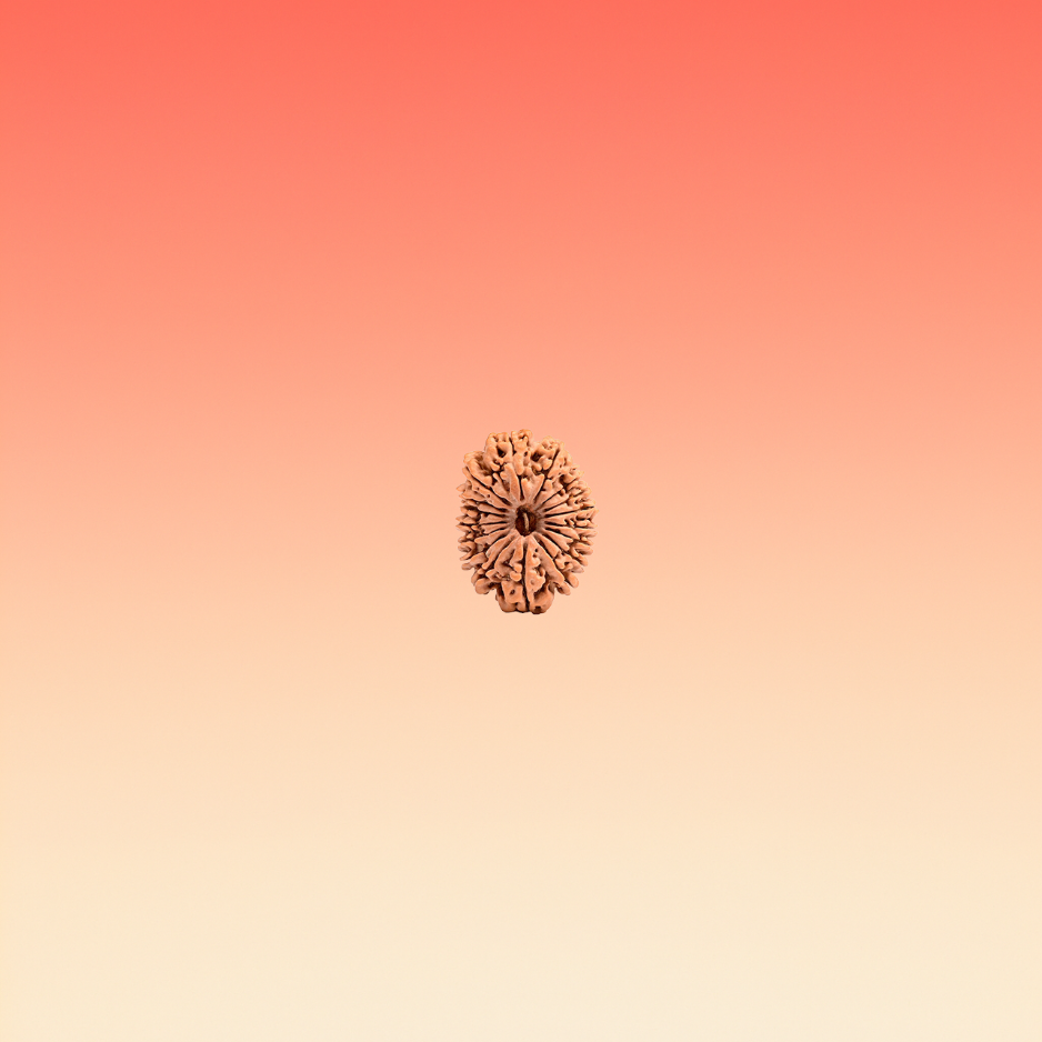 MUKHI 17