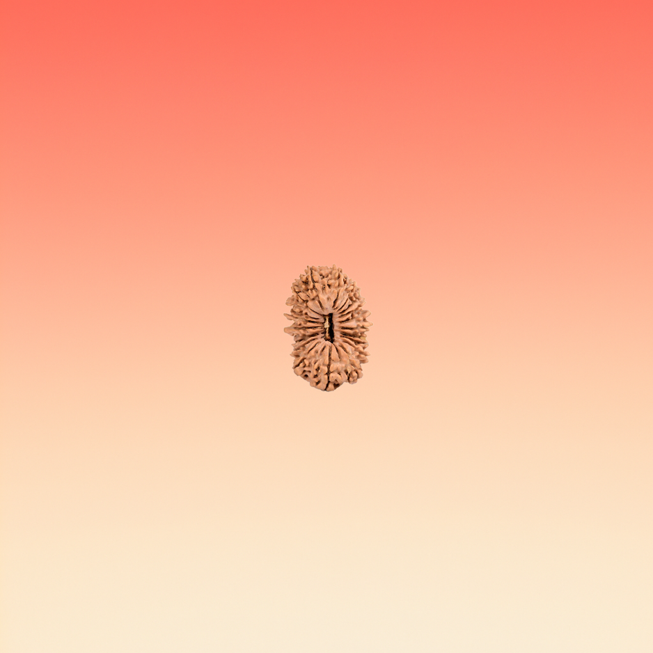 MUKHI 19