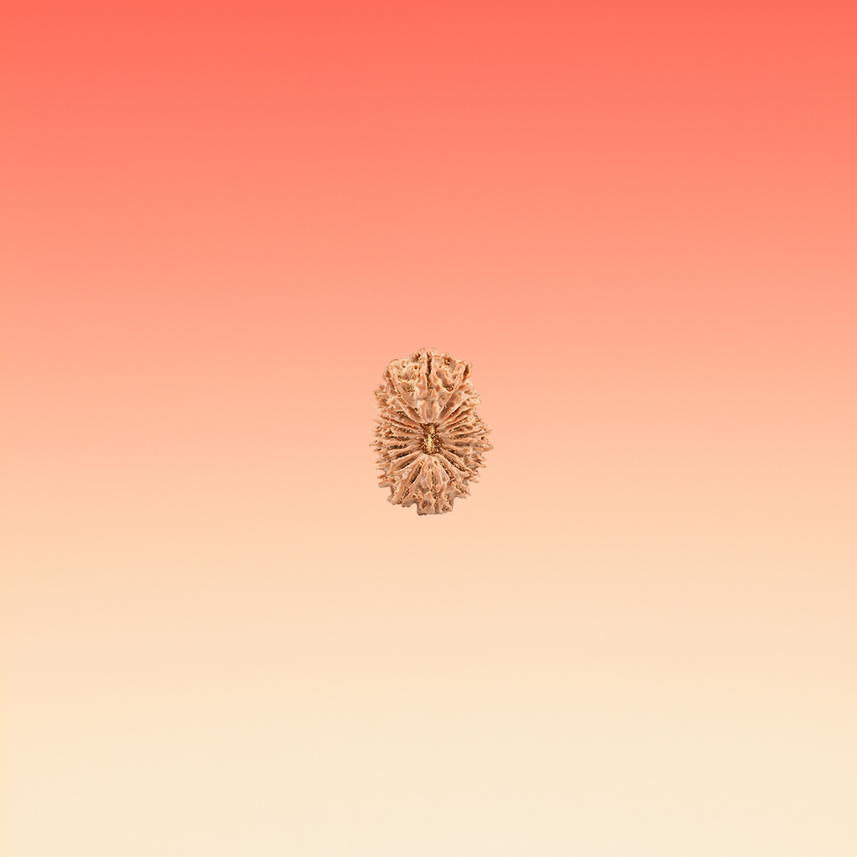 MUKHI 21