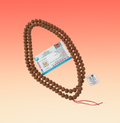 6 Mukhi Rudraksha mala, 10mm