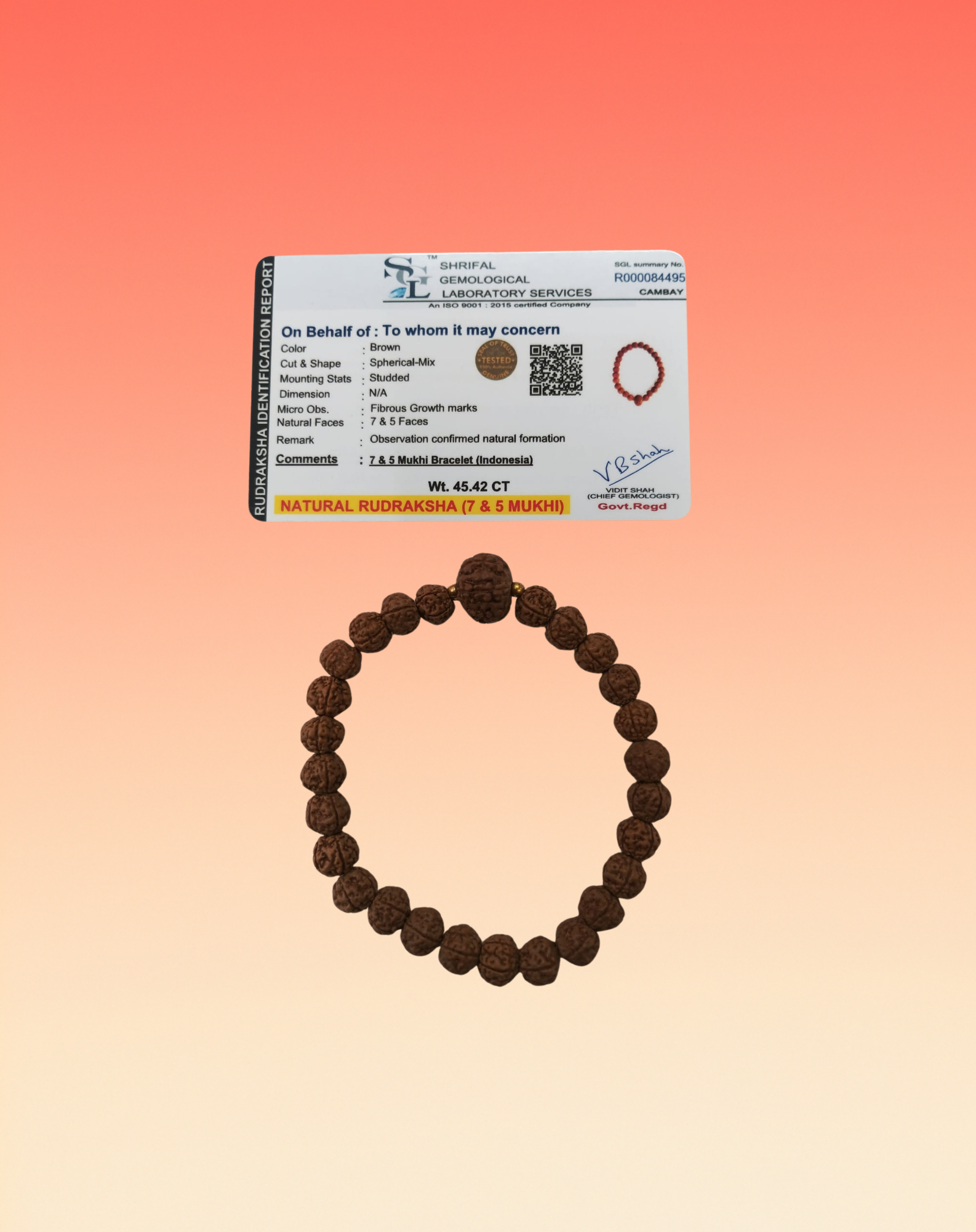 7 Mukhi Rudraksha Bracelet