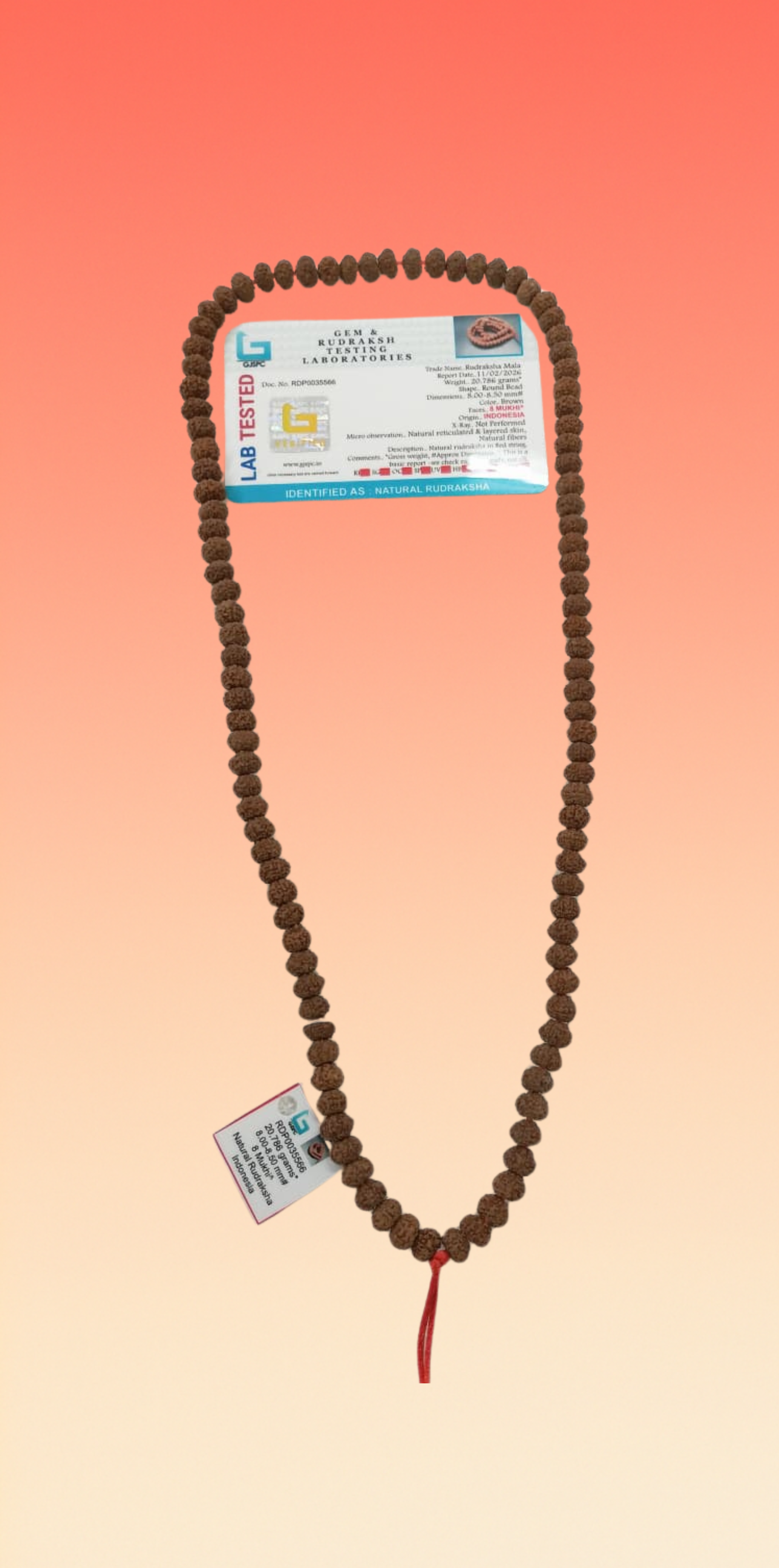 8 Mukhi Rudraksha mala, 8mm