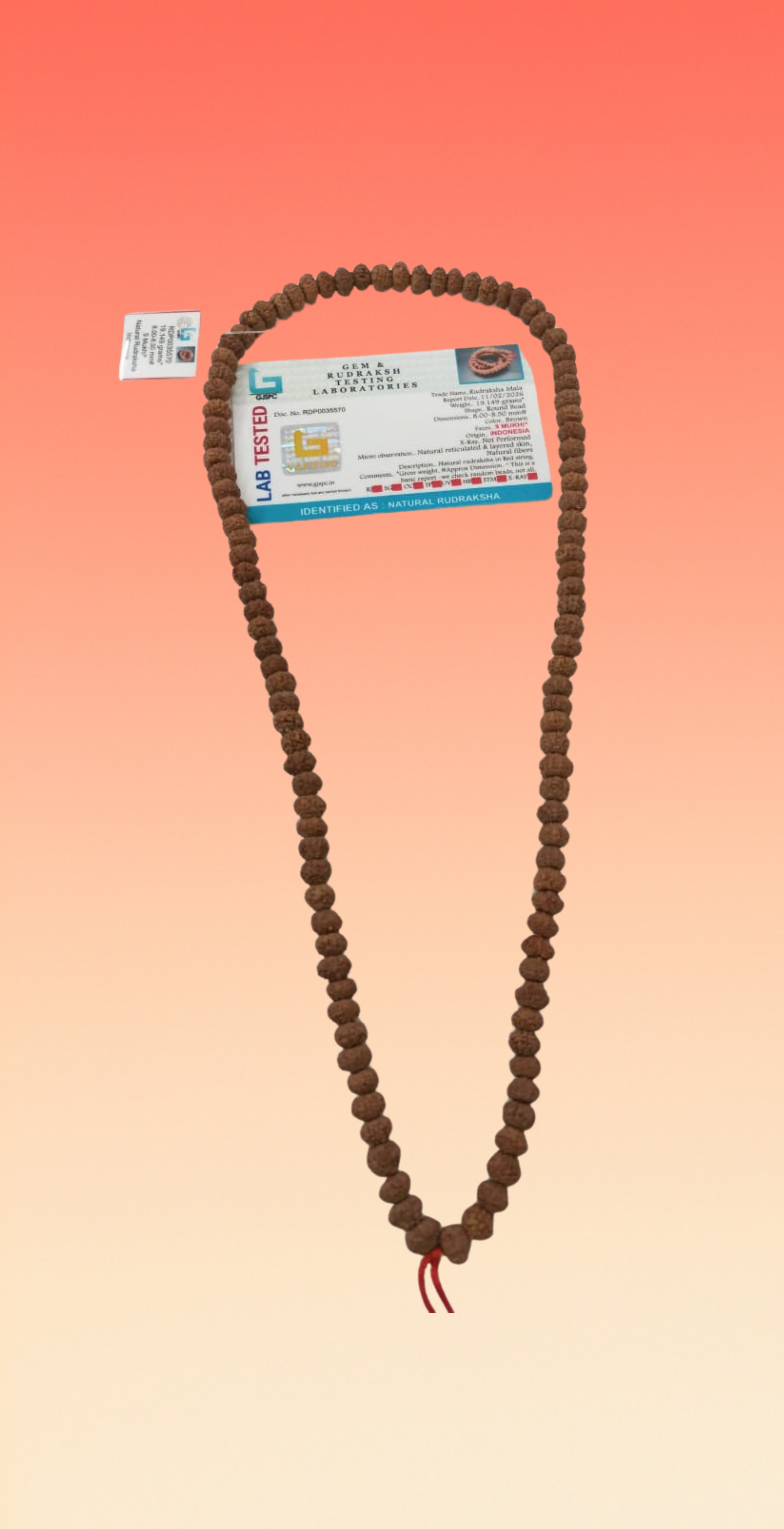 9 Mukhi Rudraksha mala, 8mm