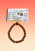 9 Mukhi Rudraksha Bracelet