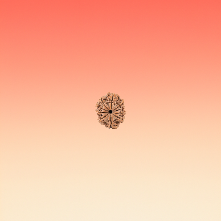 MUKHI 10