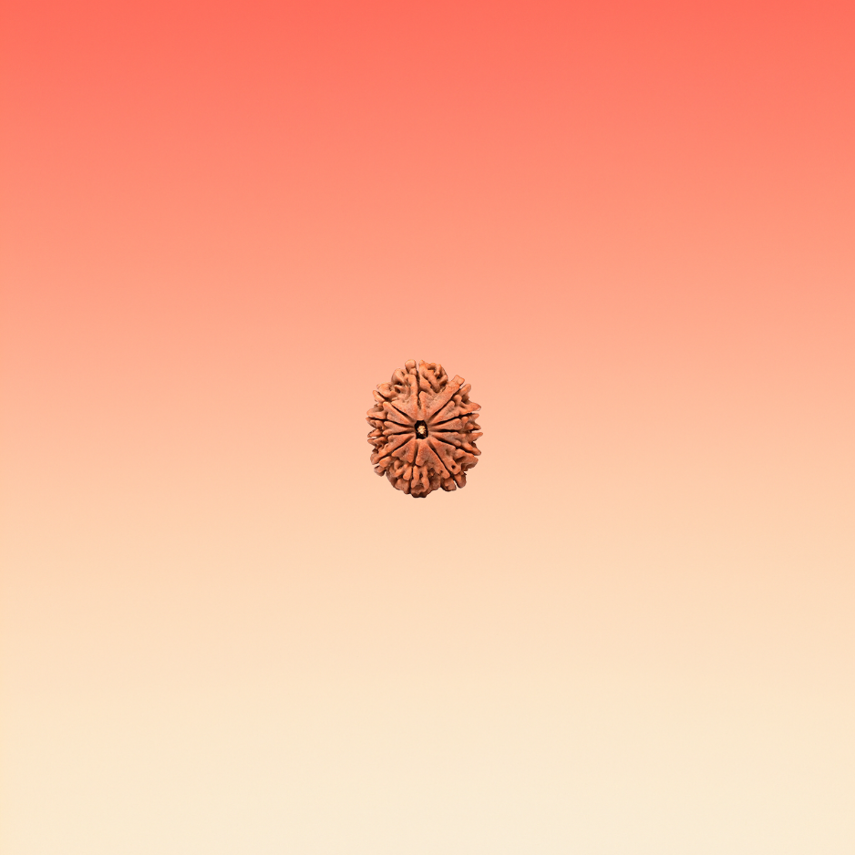 MUKHI 11