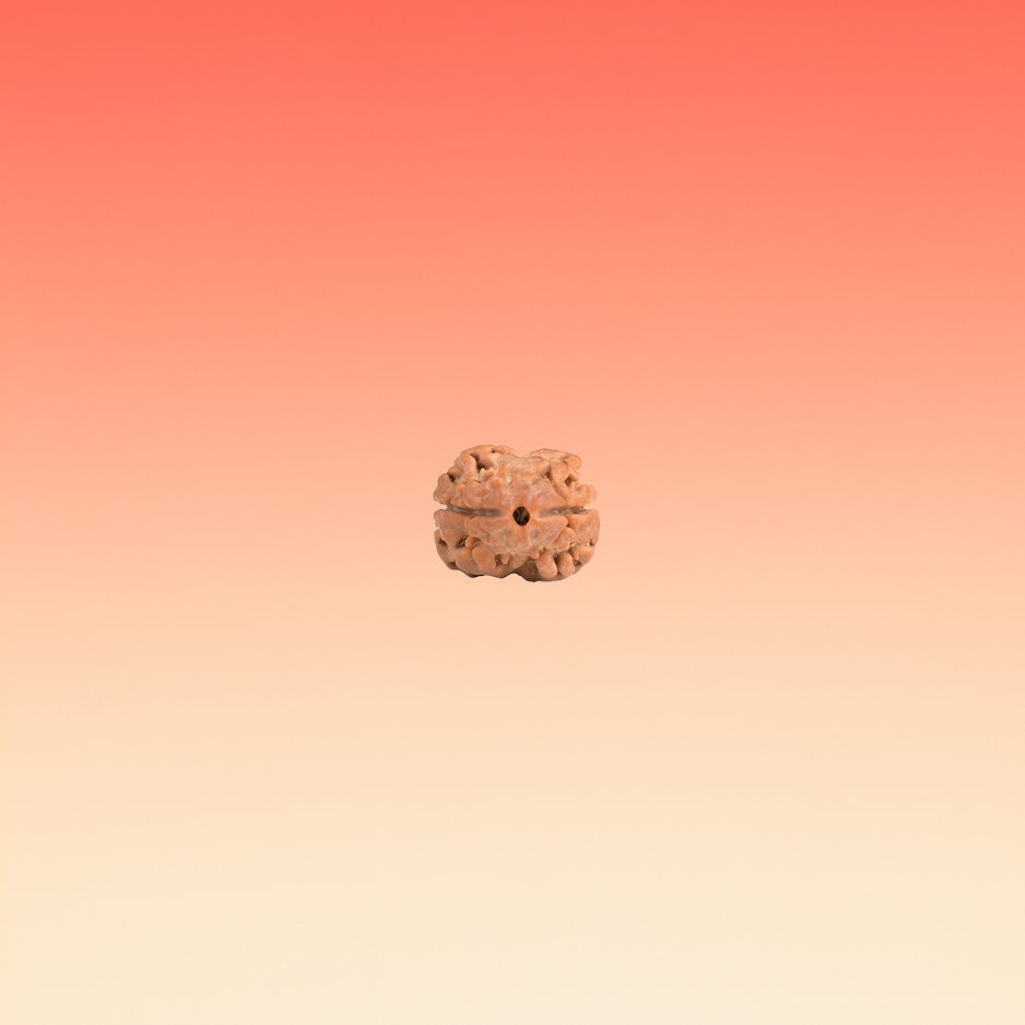 MUKHI 2