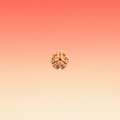 MUKHI 3