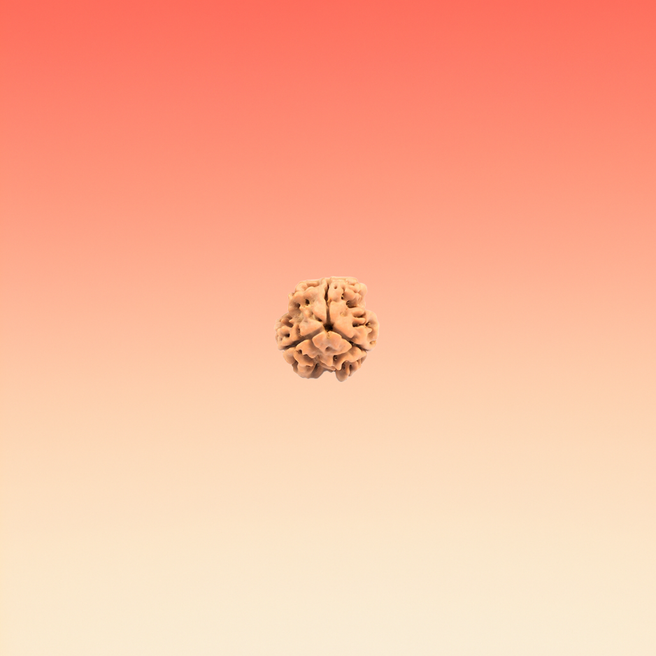 MUKHI 3