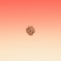 MUKHI 4