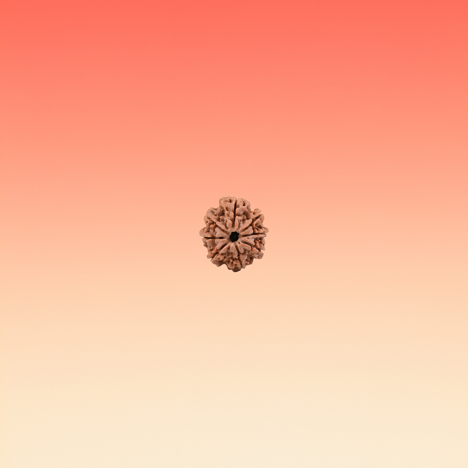 MUKHI 8
