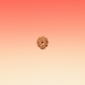 MUKHI 9