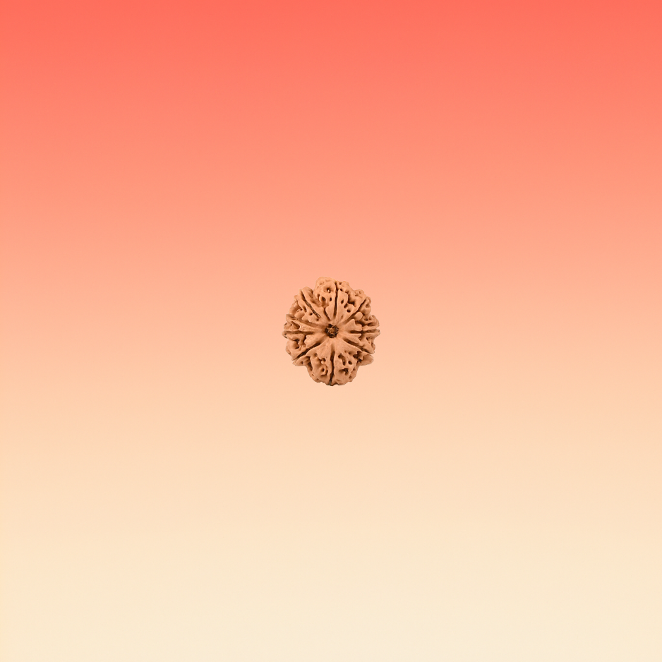 MUKHI 9